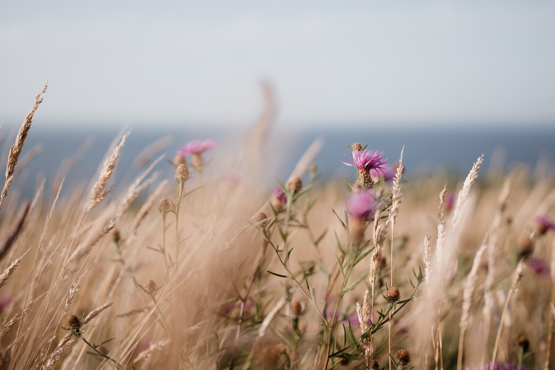 Photographe couple famille lifestyle Bretagne Finistere