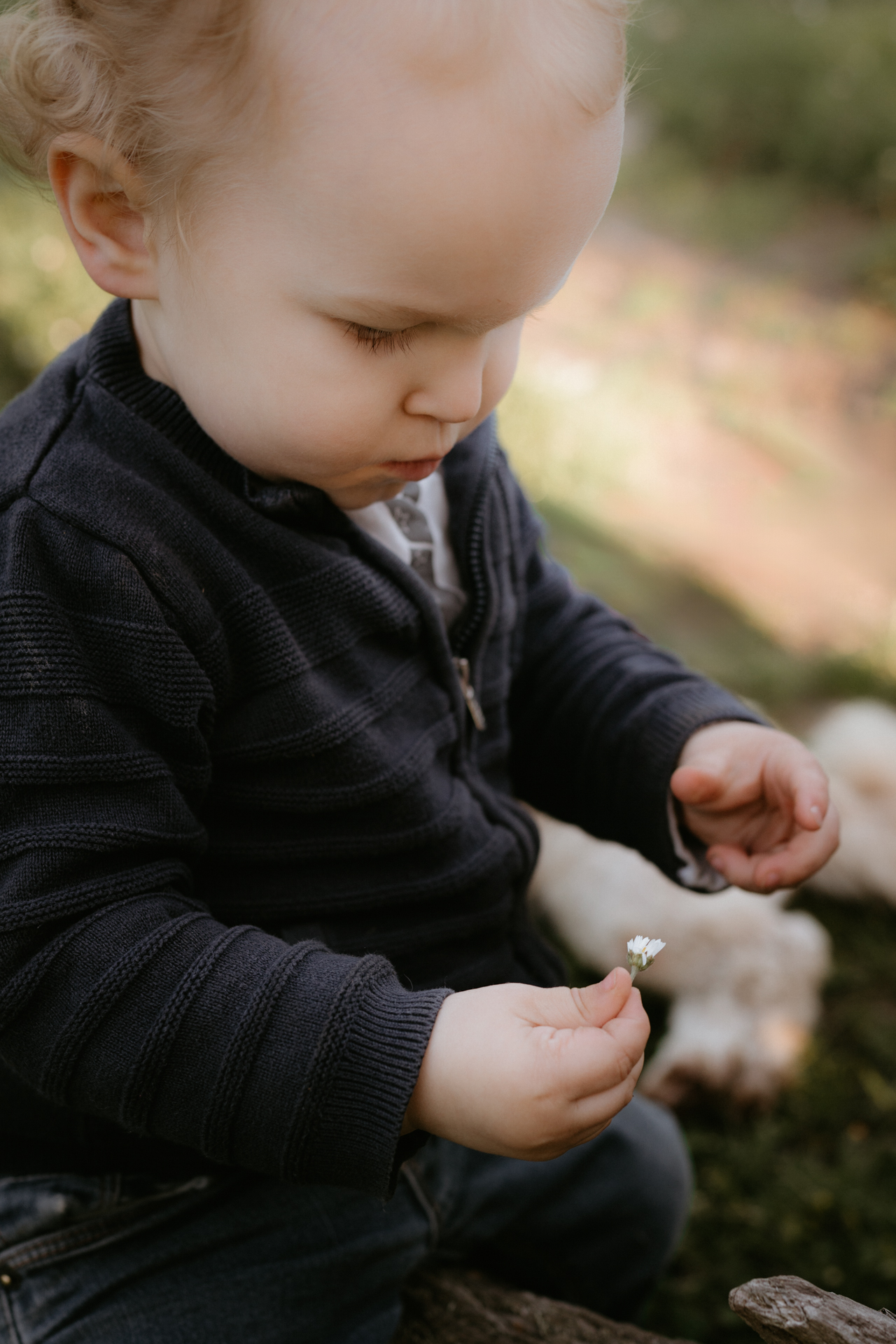 Photographe-lifestyle-famille-finistère-bretagne