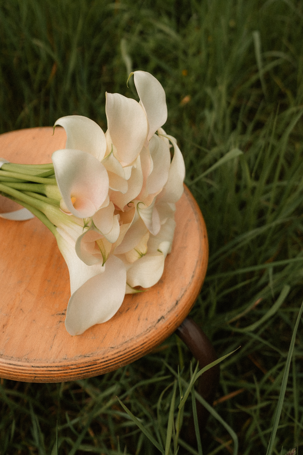 Photographe Mariage Bretagne