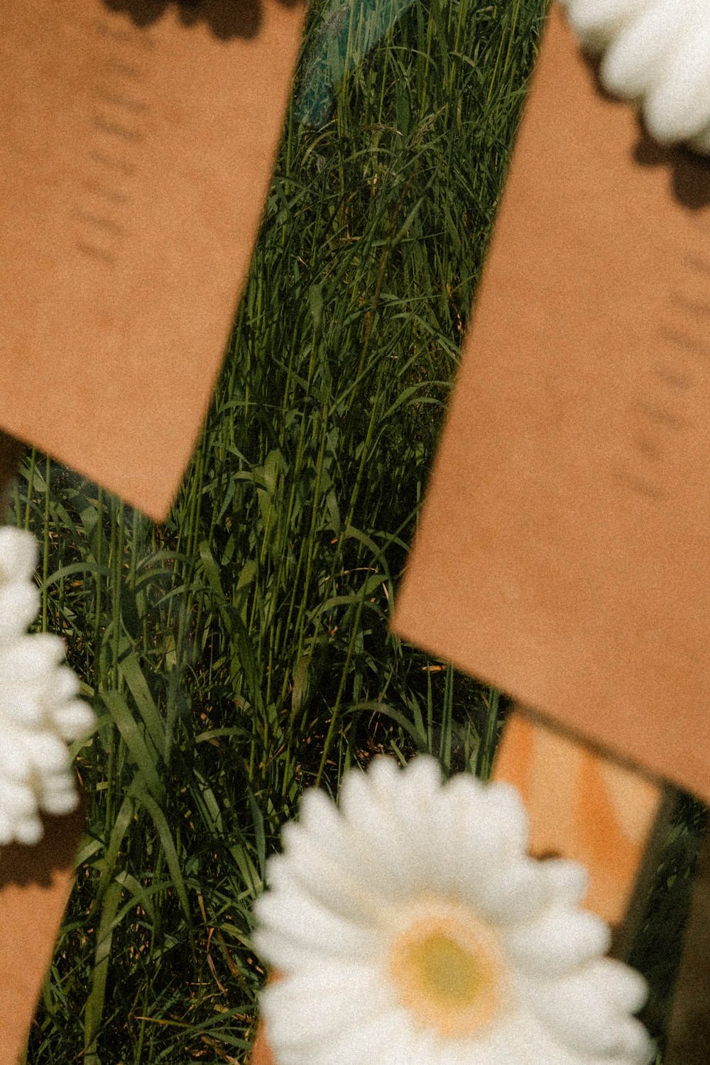 Photographe Mariage Bretagne