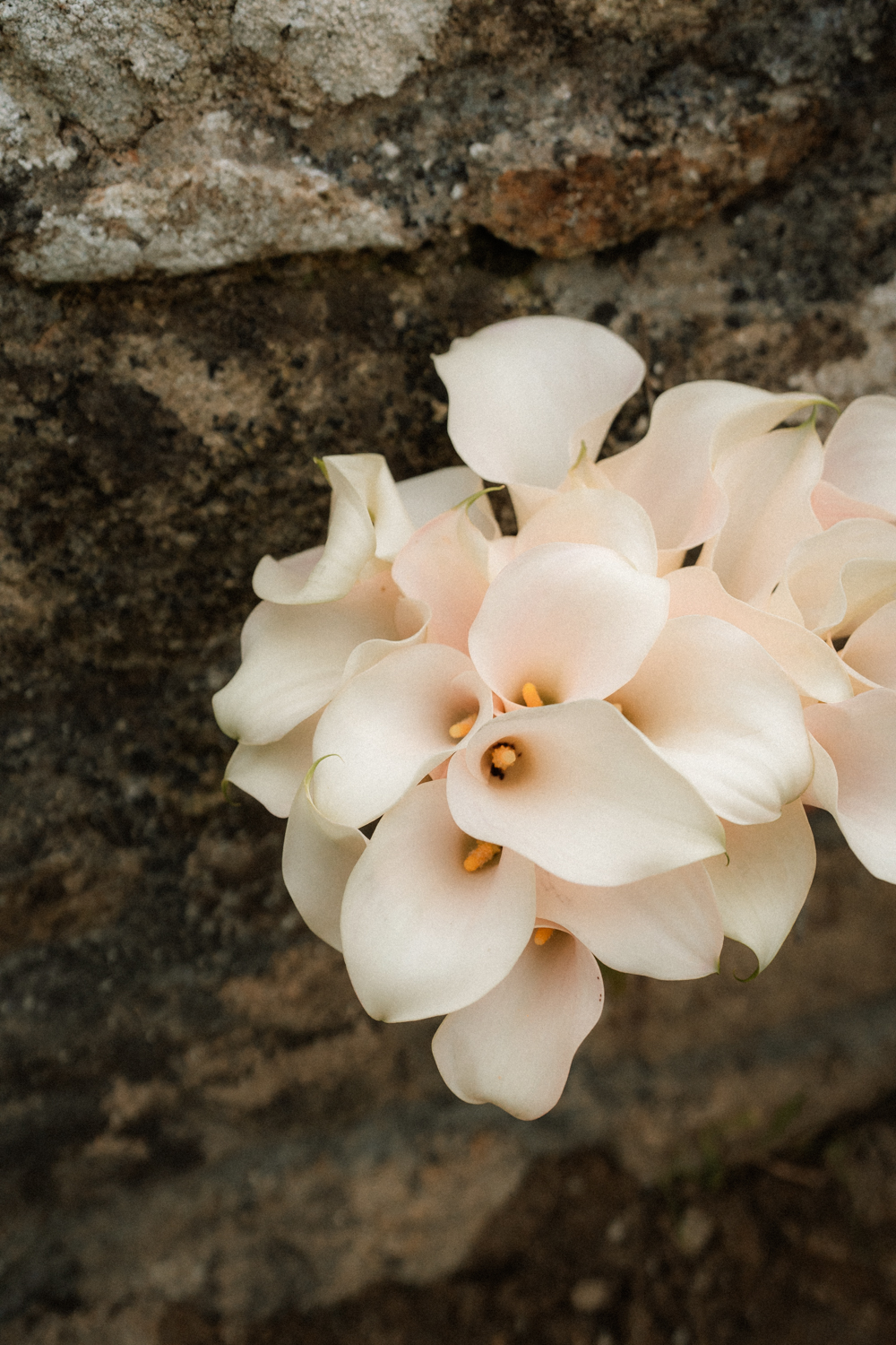 Photographe Mariage Bretagne