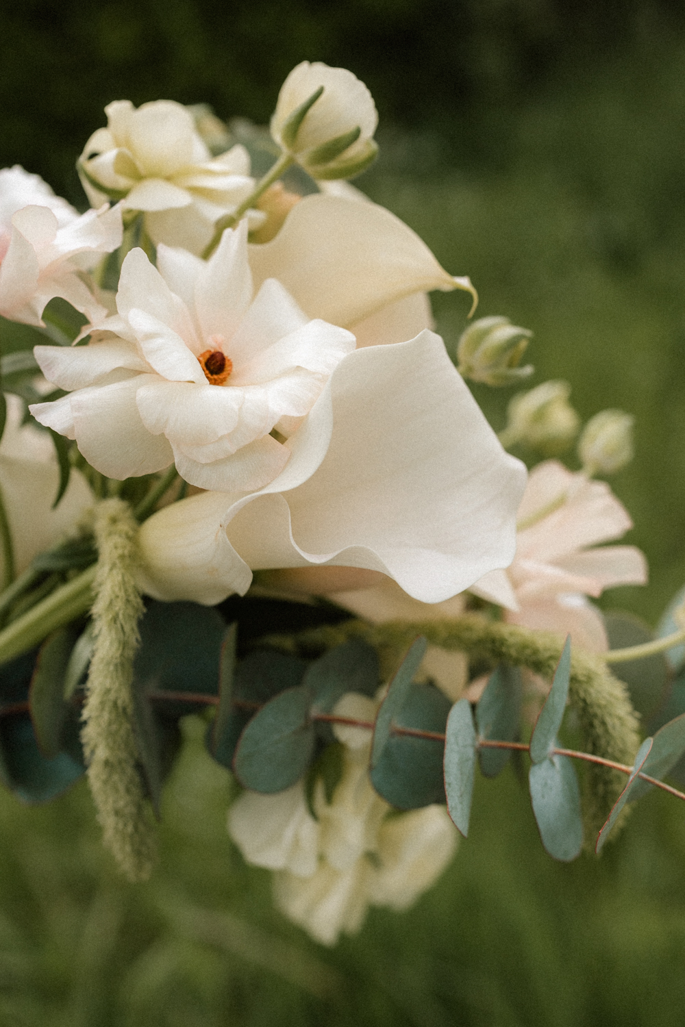 Photographe Mariage Bretagne