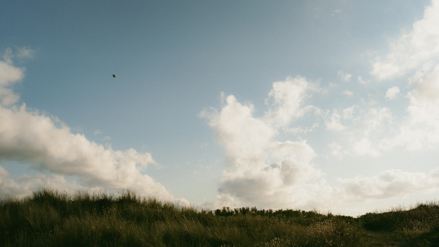 Séance photo famille Finistère Photographe famille Finistère