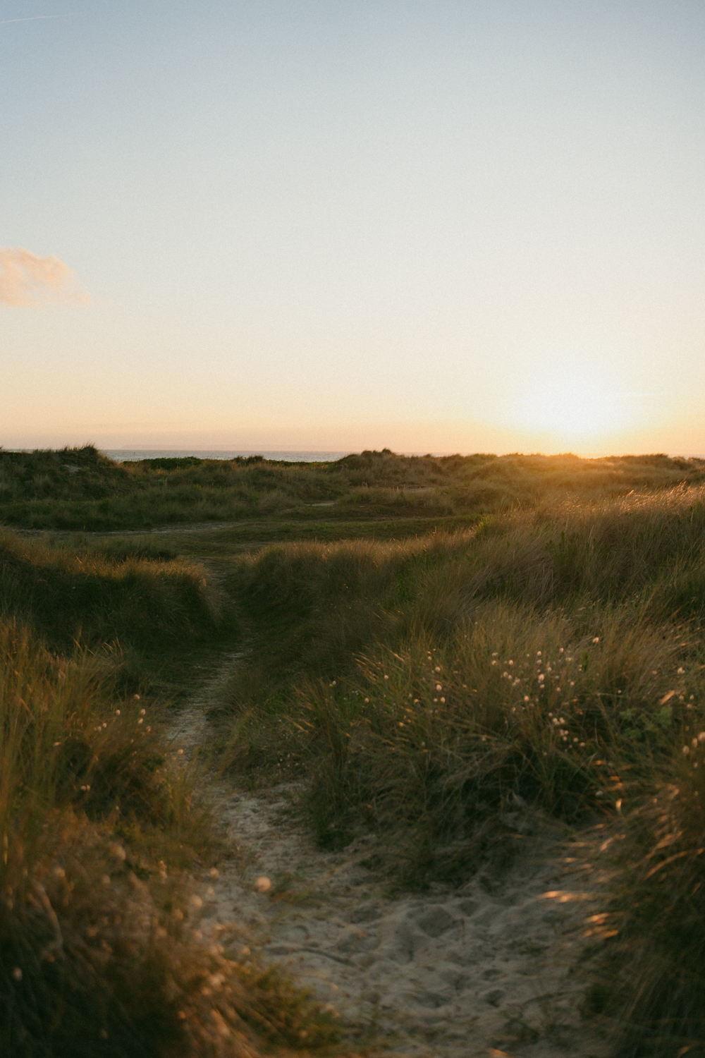 Photographe famille finistère