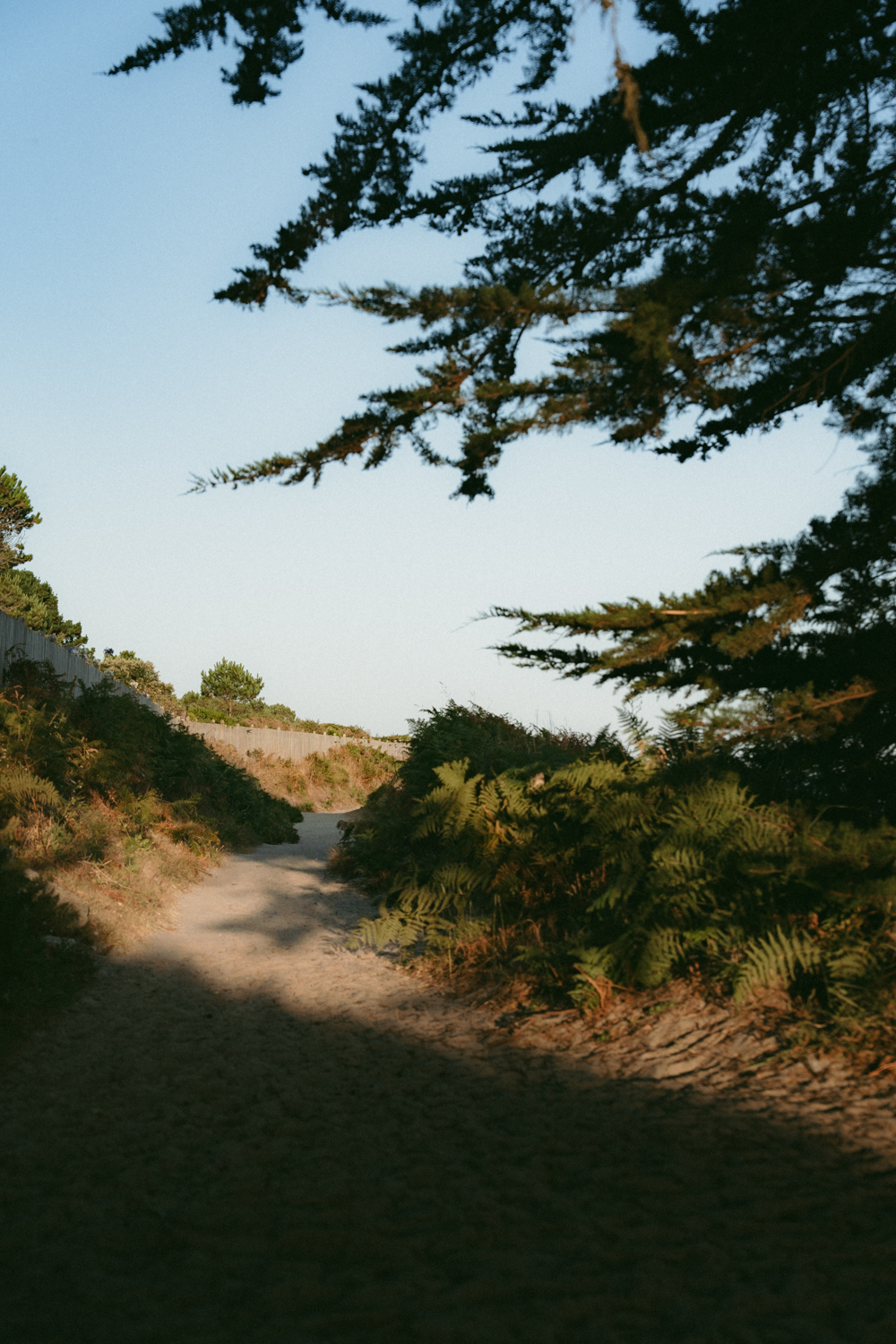 Photographe-couple-finistère-bretagne-FannyJzql124 Photographe finistère