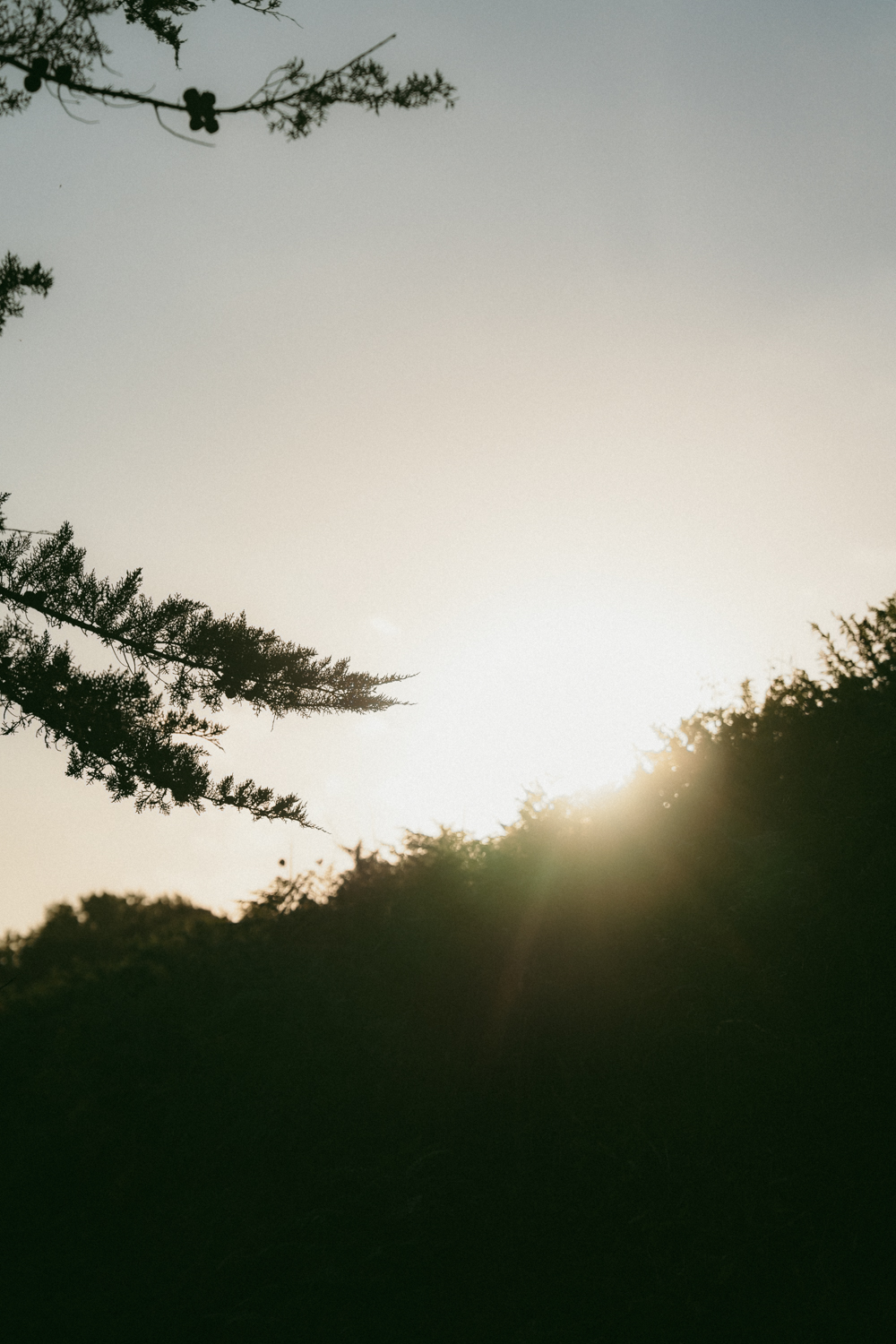 Photographe-couple-finistère-bretagne-FannyJzql125 Photographe finistère