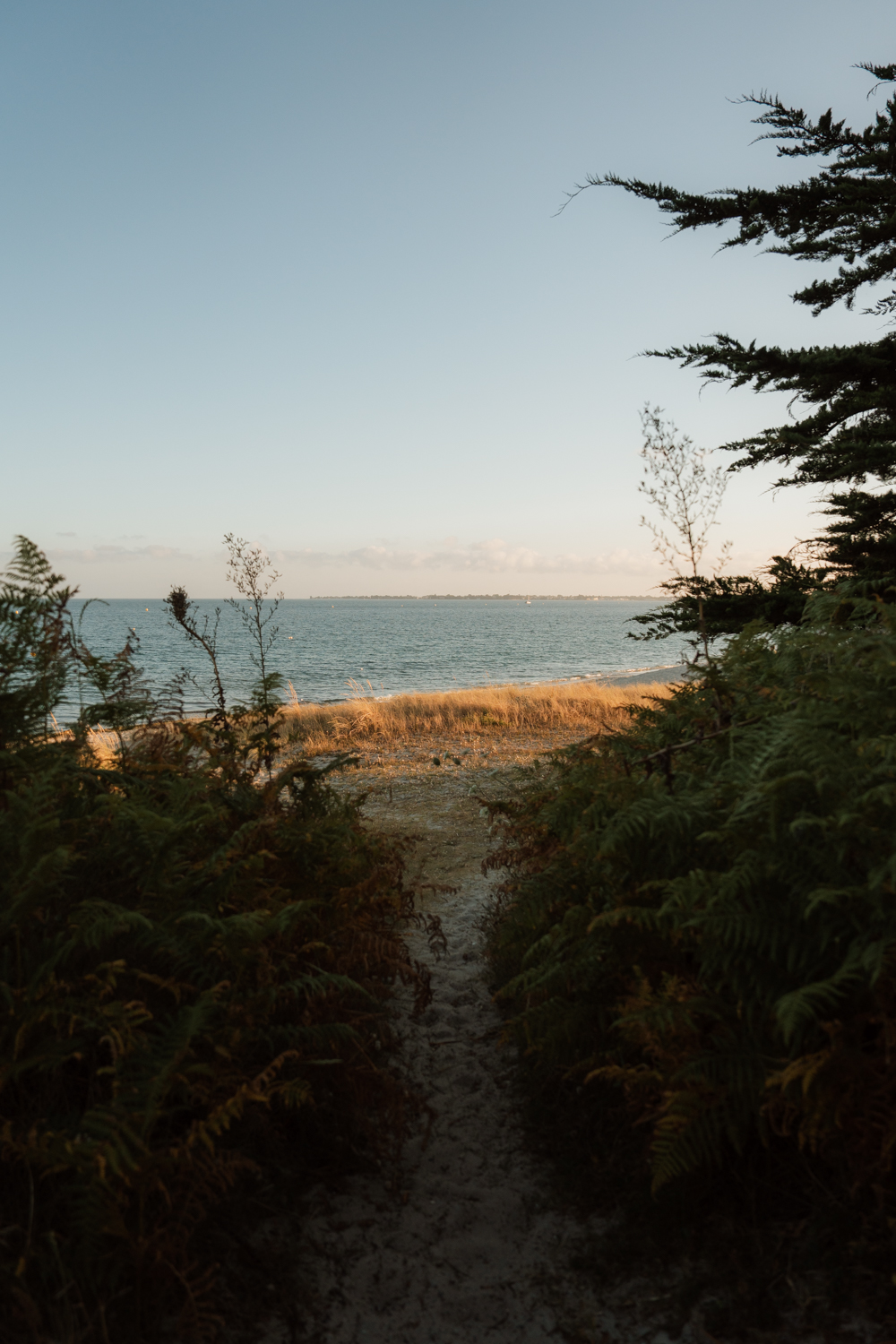 Photographe-couple-finistère-bretagne-FannyJzql126 Photographe finistère