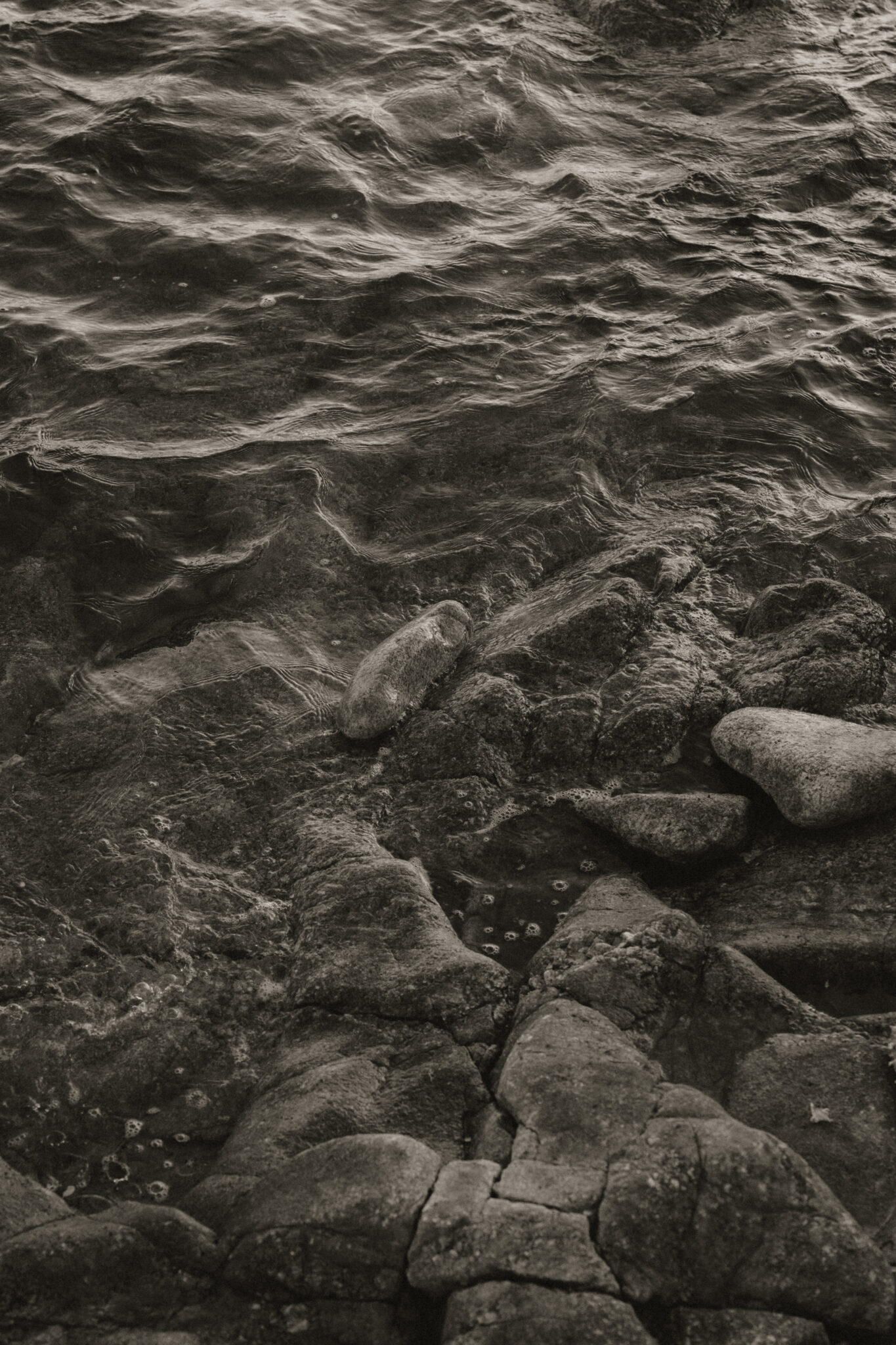 Photographe-couple-finistère-bretagne-FannyJzql131 Photographe finistère