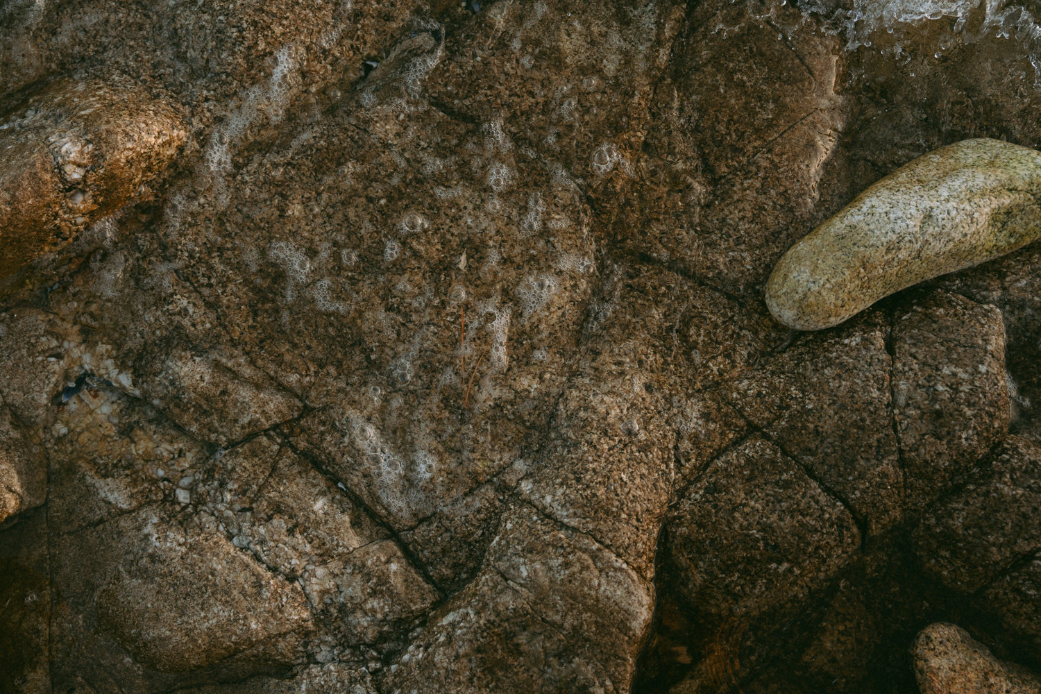 Photographe finistère