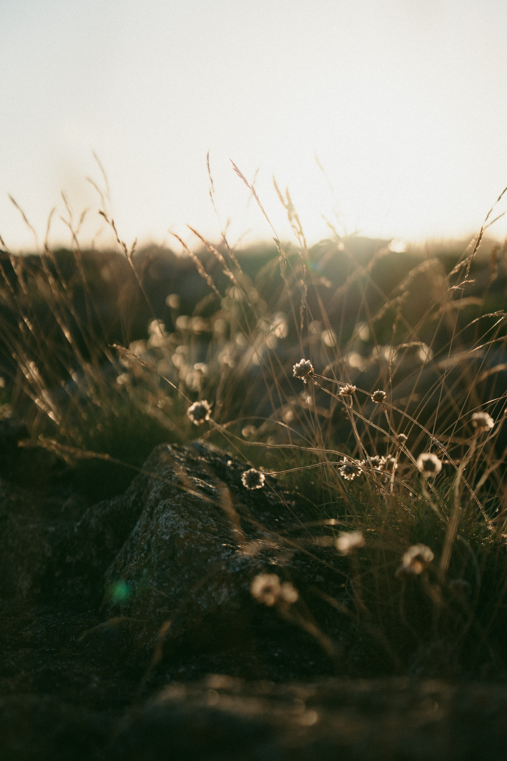 Photographe-couple-finistère-bretagne-FannyJzql136 Photographe finistère