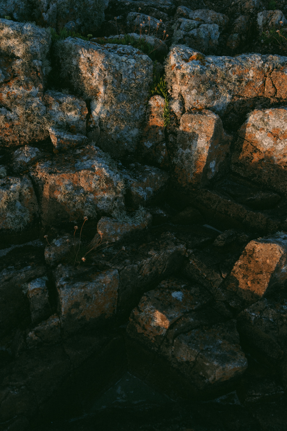 Photographe-couple-finistère-bretagne-FannyJzql139 Photographe finistère