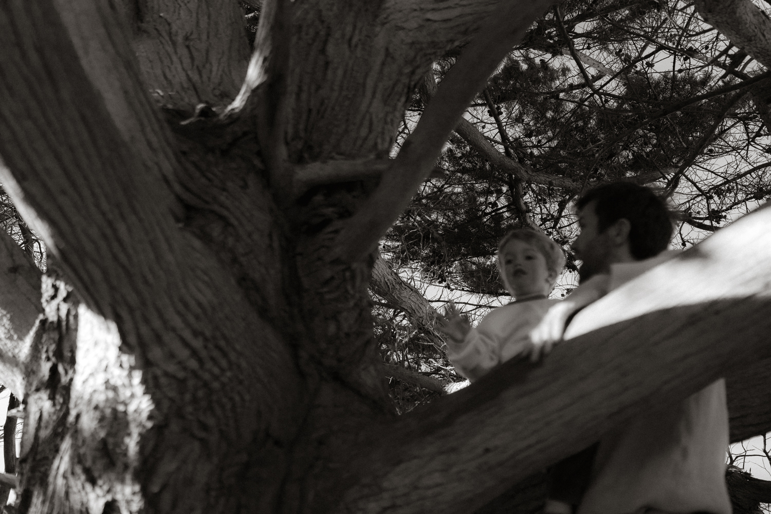 Photographe-Famille-Finistère-FannyJzql-48-1 Photographe Famille Finistère