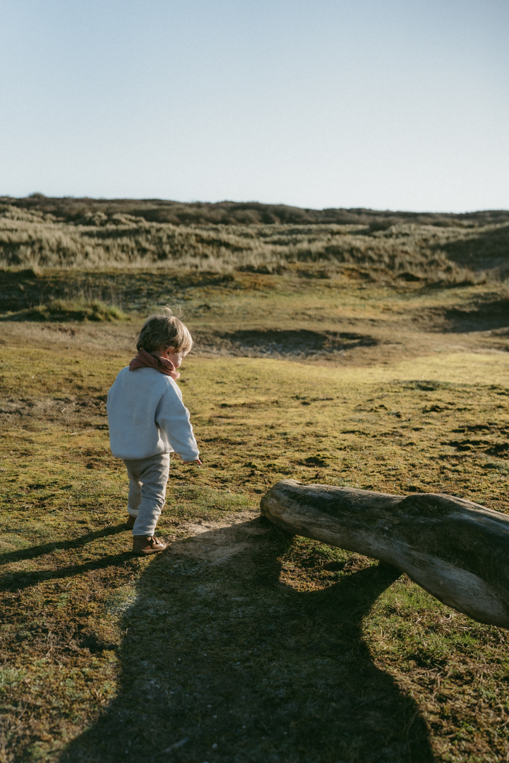 Photographe famille finistère