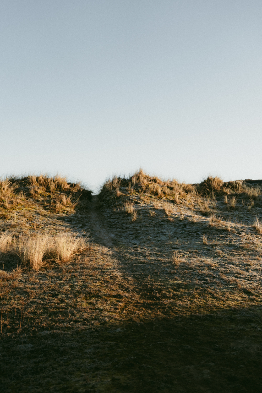 Photographe-Famille-Finistère-FannyJzql-92 Photo Dune Finistère