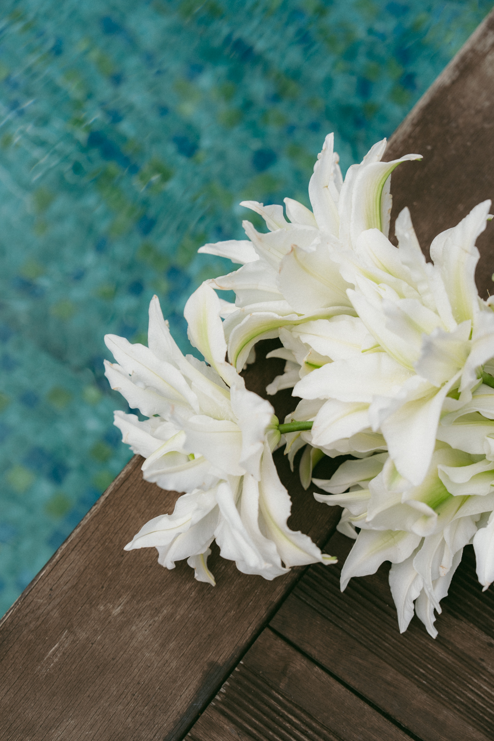 Photographe-Mariage-Bretagne-FannyJzql-AC15 Photographe Mariage Documentaire Editorial Bretagne