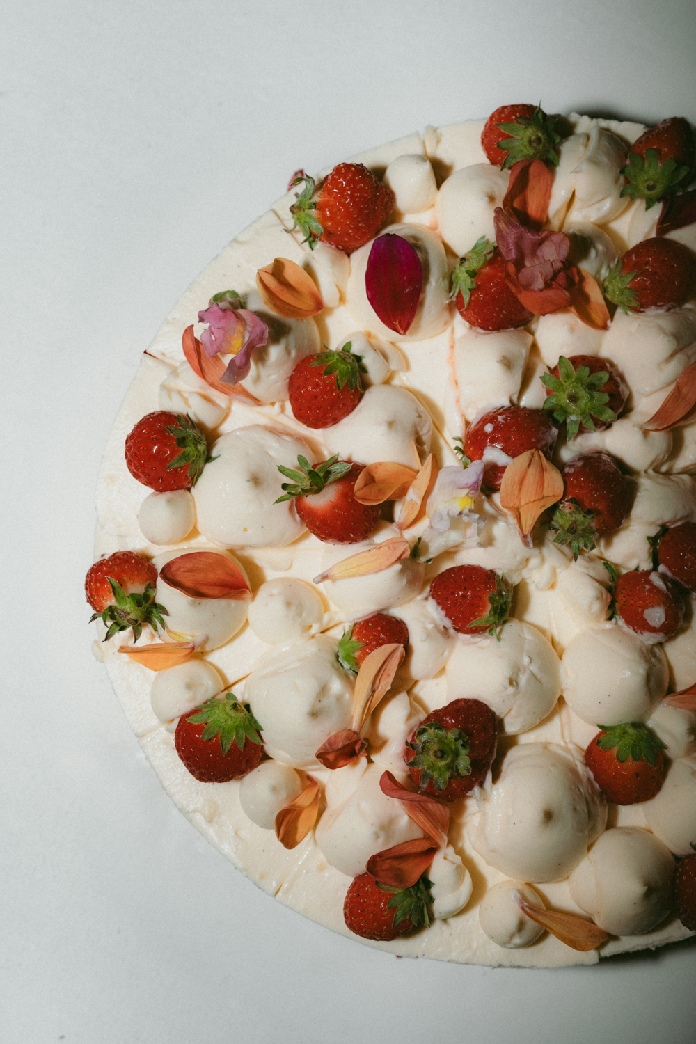 Photographe-Mariage-Bretagne-FannyJzql-AC222 Photographe Mariage Documentaire Editorial