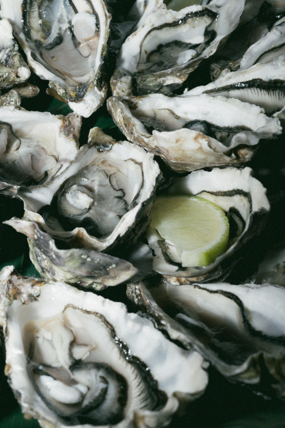 Photographe-Mariage-Bretagne-FannyJzql-AC246 Photographe Mariage Documentaire Editorial