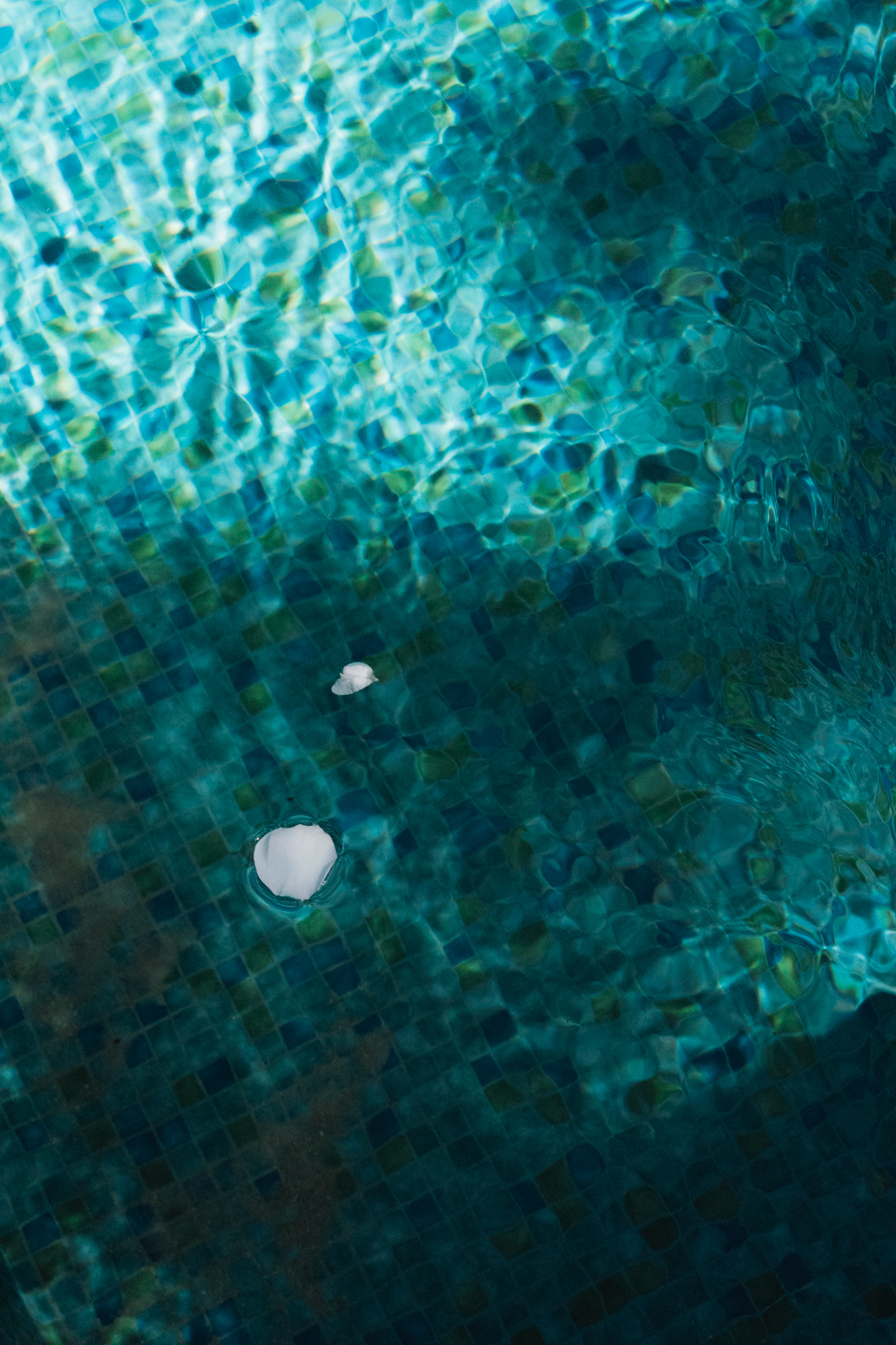 Photographe-Mariage-Bretagne-FannyJzql-AC54 Photographe Mariage Documentaire Editorial Bretagne