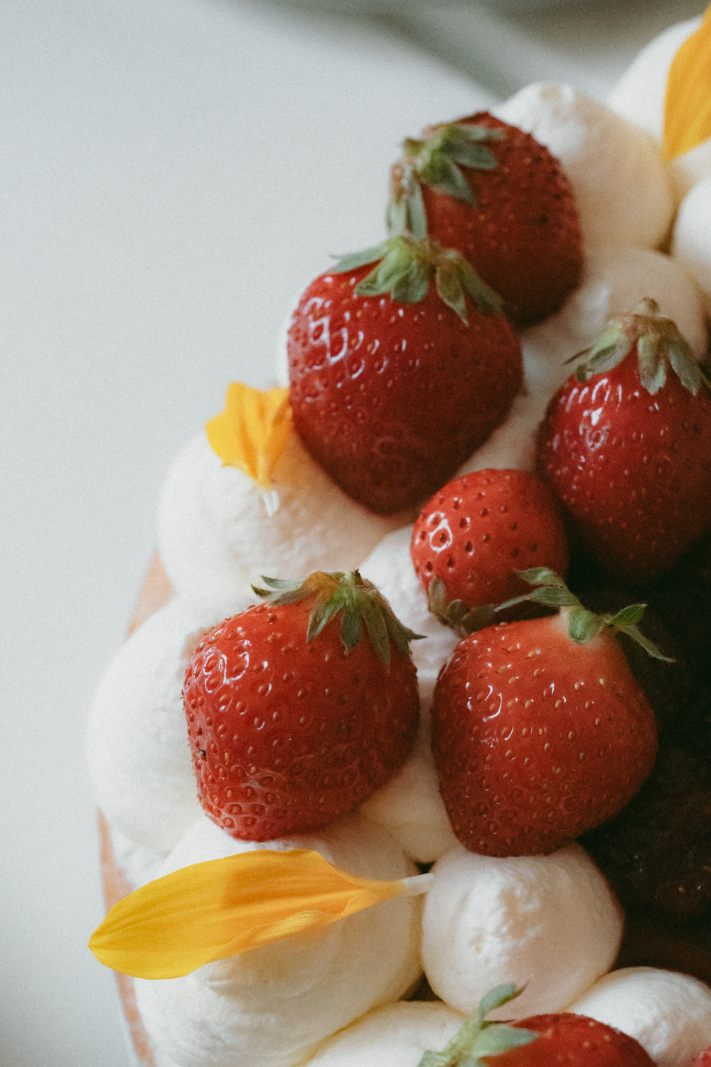 Photographe Mariage Bretagne Manoir des Indes Quimper