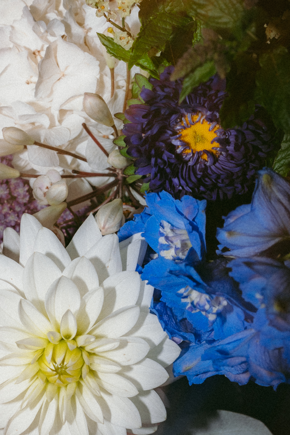 Photographe-Mariage-FannyJzql-CMS6 Photographe Mariage documentaire finistère