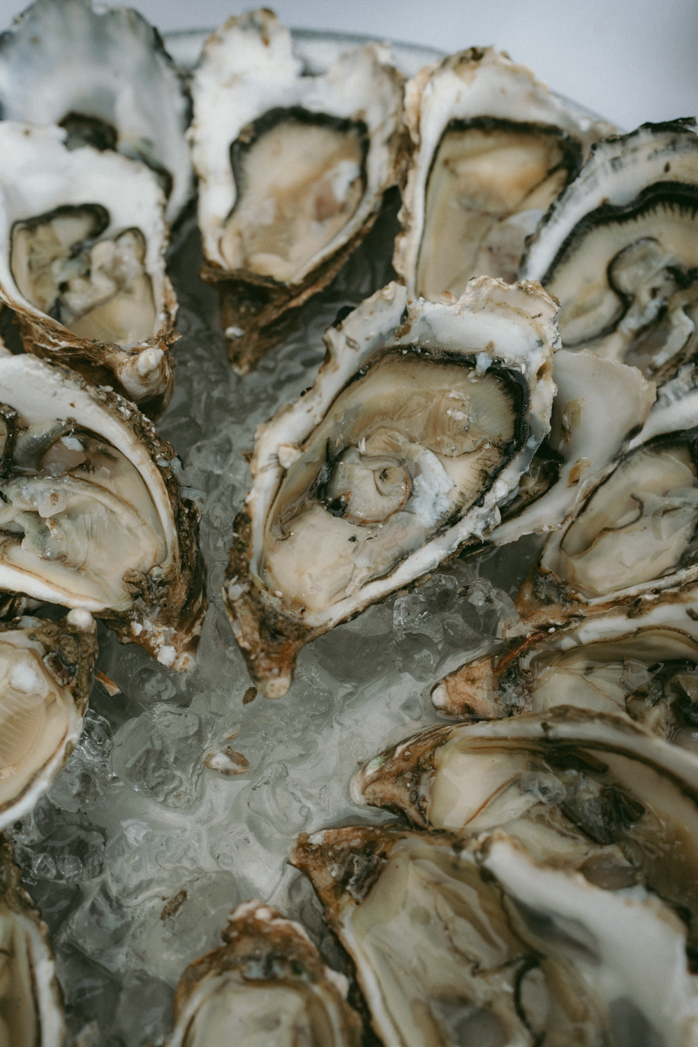 Photographe-Mariage-Paris-DomainedeMauvoisin-FannyJzql191 Photographe Mariage Documentaire Bretagne