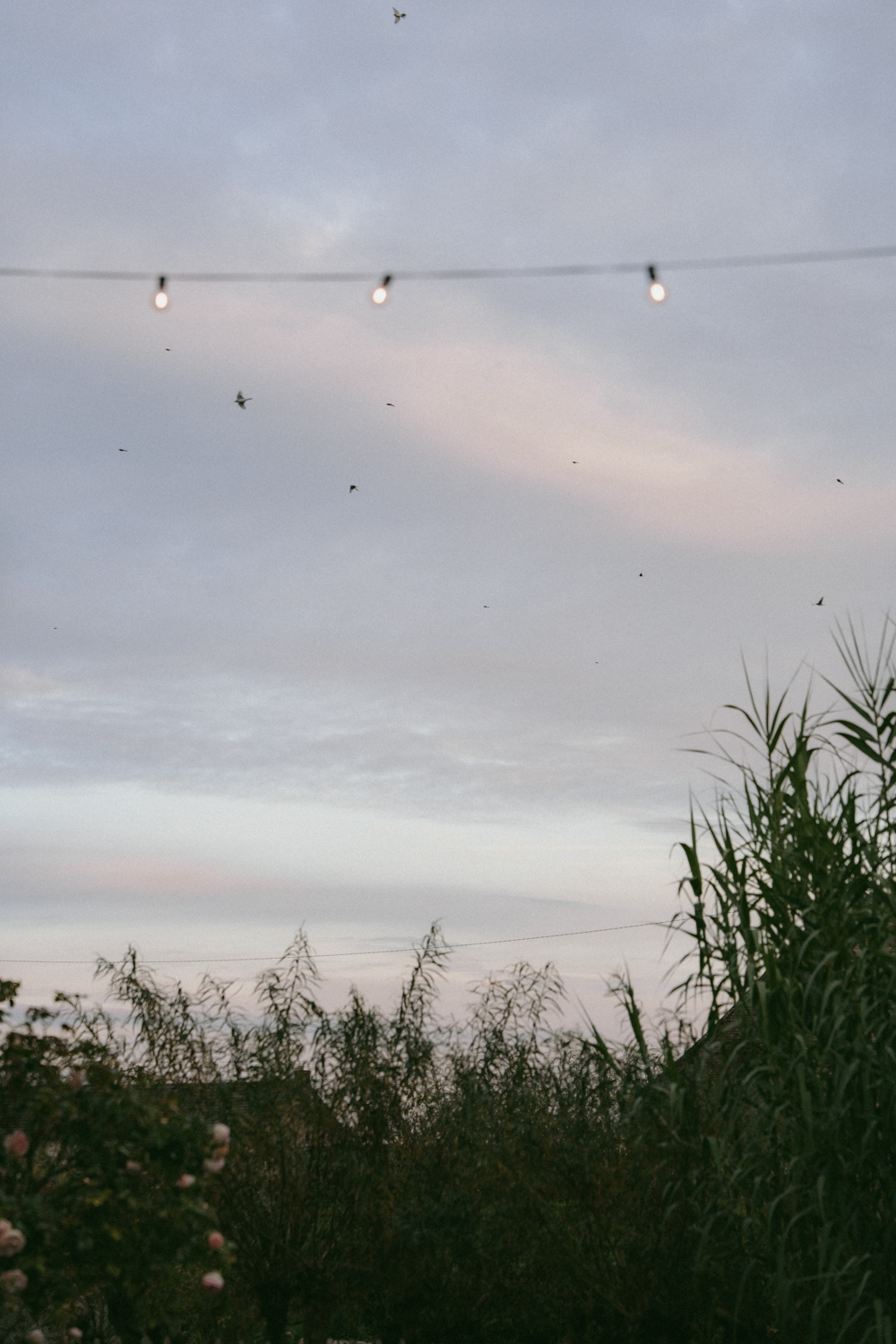 Photographe-Mariage-Paris-DomainedeMauvoisin-FannyJzql214 Photographe Mariage Finistère