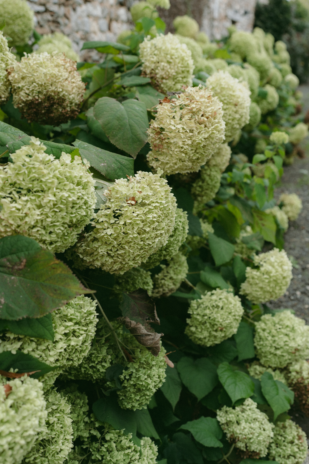 Photographe-Mariage-Paris-DomainedeMauvoisin-FannyJzql5 Photographe Mariage Documentaire Paris Domaine de Mauvoisin