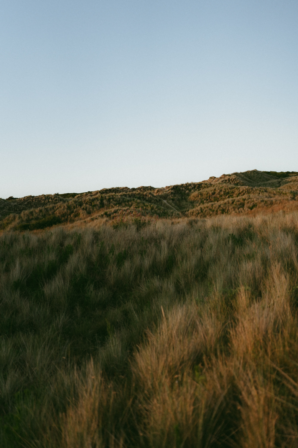 Séance-photo-Famille-Finistère-FannyJzql-82 Photographe lifestyle Finistère