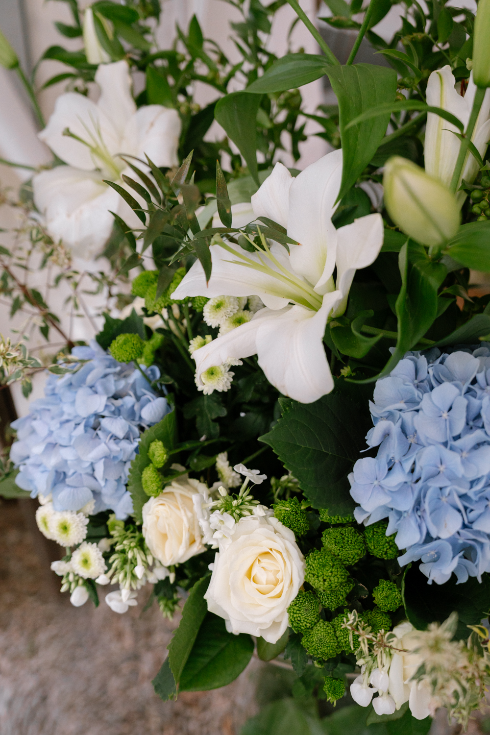 Fleurs 